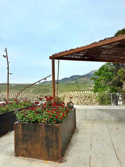Los Molinos Quesada Exteriér fotografie